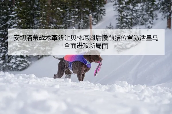 安切洛蒂战术革新让贝林厄姆后撤前腰位置激活皇马全面进攻新局面