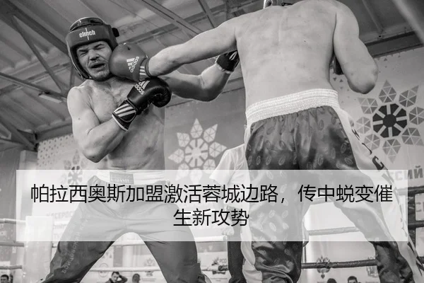 帕拉西奥斯加盟激活蓉城边路，传中蜕变催生新攻势